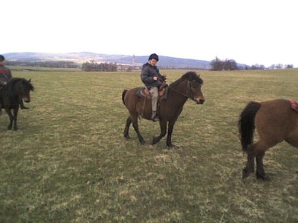 Vcvik jzdy na koni na farm v H. Slavkov