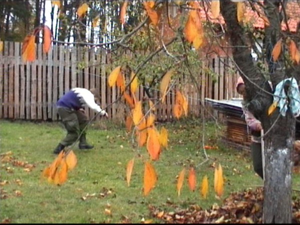 Hluboká 2000 - podzim
